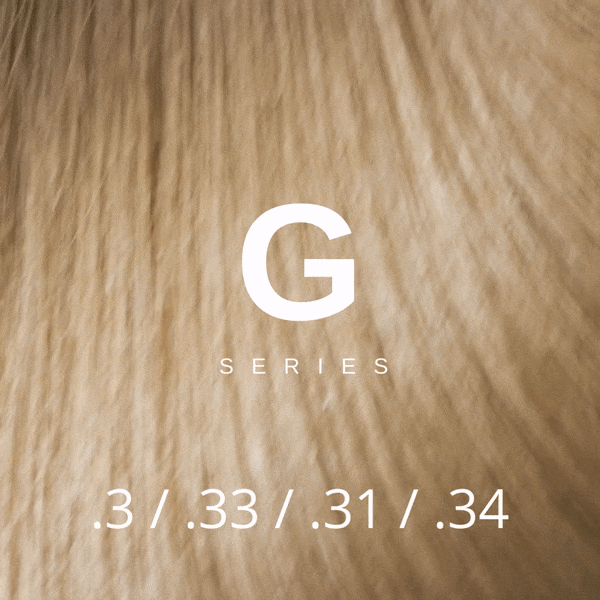 (.3) (.31) (.33) (.34) GOLD SERIES